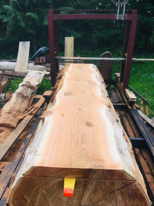 Cedar Slab 1